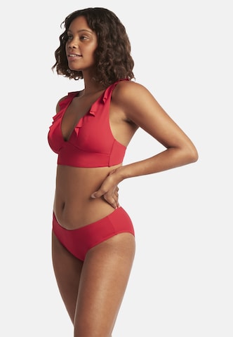 SEA LEVEL Bikinihose 'Essentials' in Rot