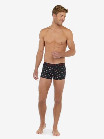 HOM Boxershorts in Rood