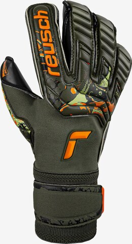 REUSCH Athletic Gloves 'Attrakt Gold X Evolution Cut' in Green