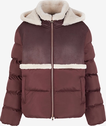 EA7 Emporio Armani Winter jacket in Brown: front