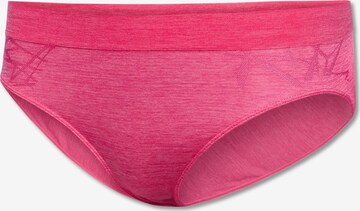 SCHIESSER Slip in Roze: voorkant