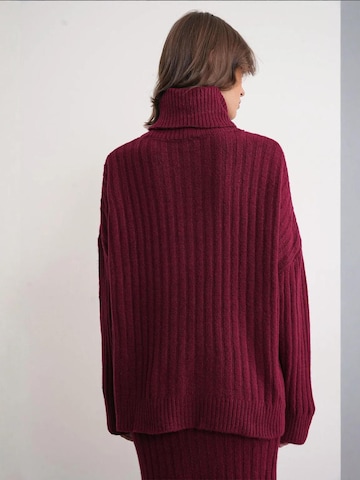 Pullover 'Pullover' di MixRay in rosso