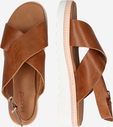 INUOVO Sandals in Brown