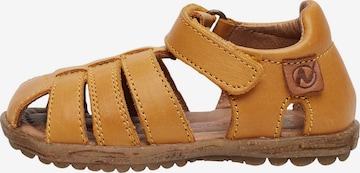 NATURINO Offene Schuhe 'SEE' in Orange: Vorderseite