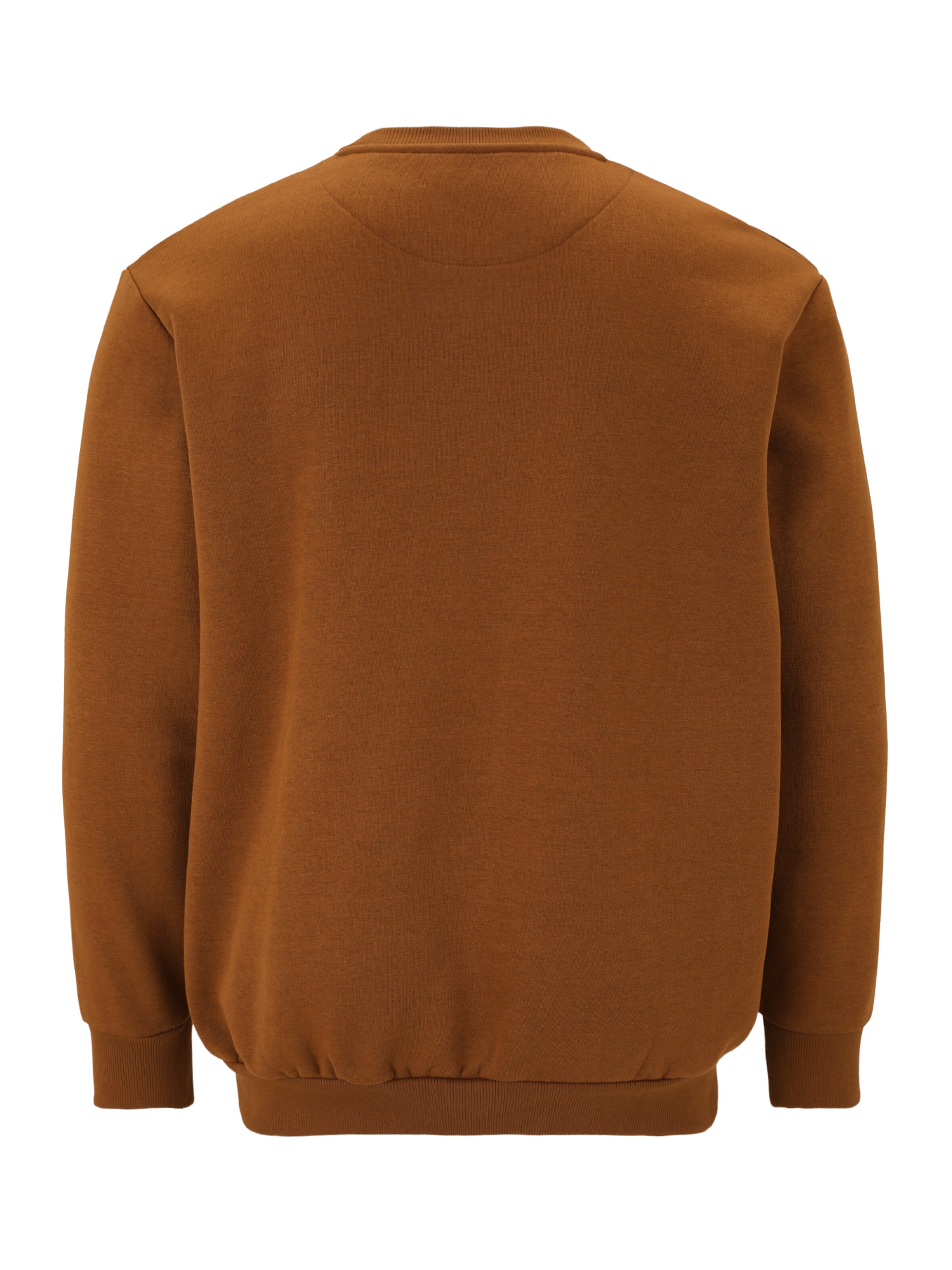 Sweat-shirt 'JJEBradley' Jack & Jones Plus en marron