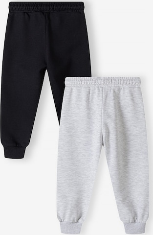 Tapered Pantaloni di MINOTI in grigio