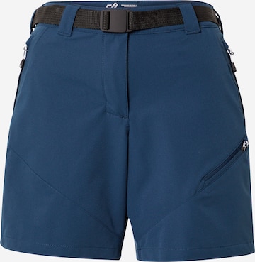 Regular Pantalon de sport 'Melodic Pro' DARE2B en bleu : devant