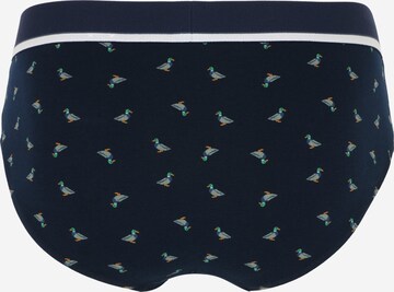 SCHIESSER Panty 'Rio' in Blue