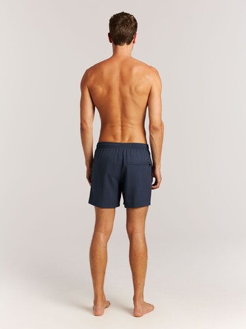 PROTEST Board Shorts 'Davey' in Blue