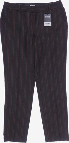 Grüne Erde Pants in L in Brown: front