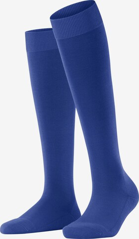 FALKE Kniestrümpfe 'ClimaWool' in Blau: Vorderseite