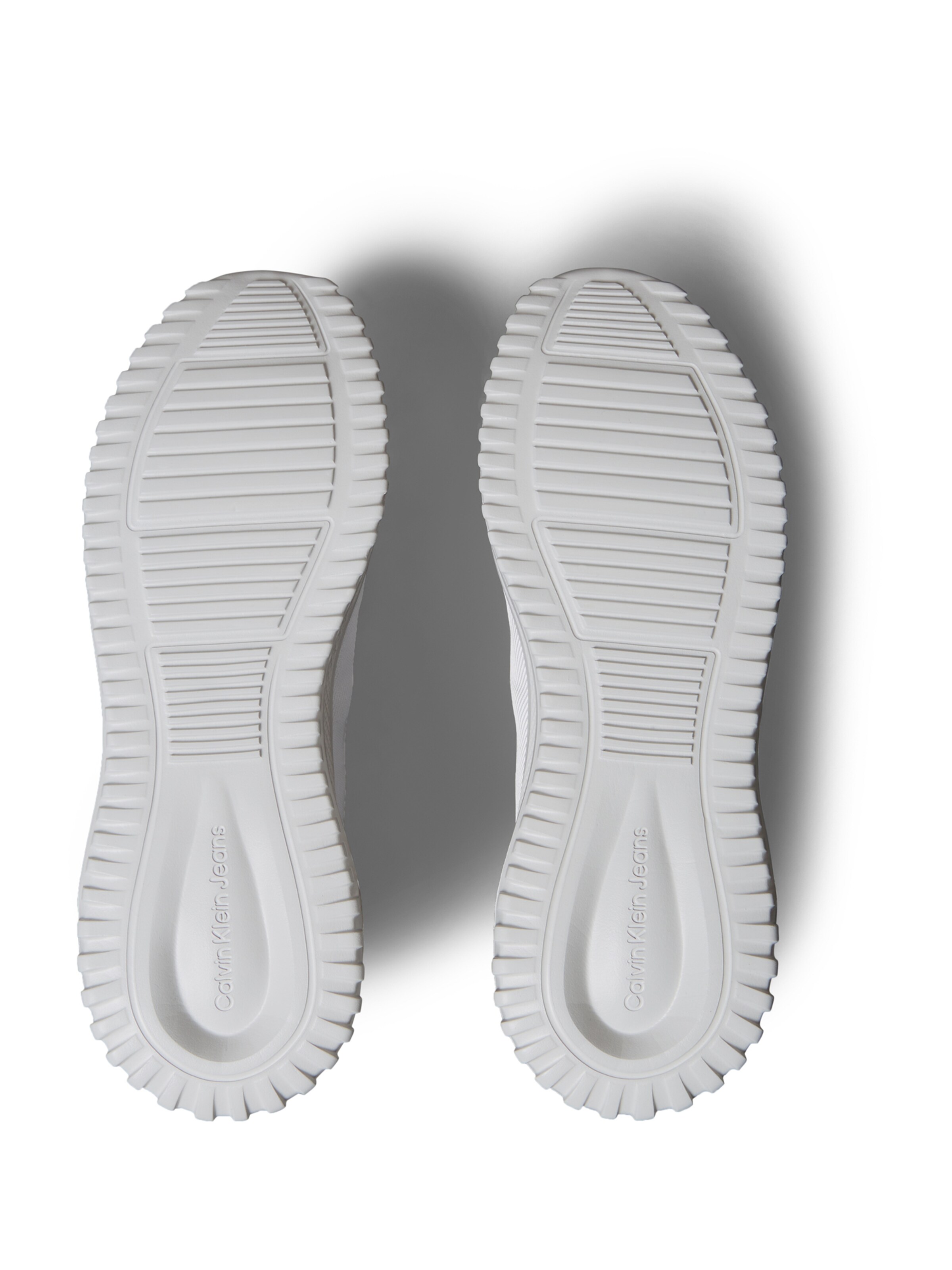 Baskets basses Calvin Klein en gris