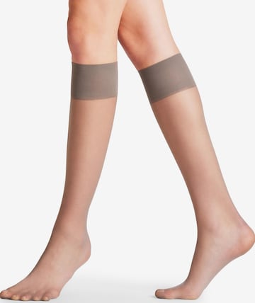 FALKE Knee High Socks 'Pure Matt' in Grey: front
