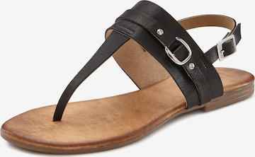 LASCANA T-Bar Sandals in Black: front