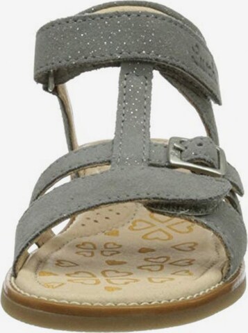 LURCHI Sandals in Grey
