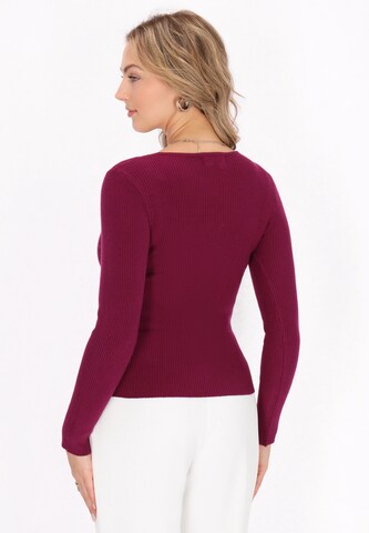 faina Pullover 'Comfortable' in Rot
