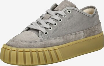 Baskets basses Sneaky Steve en gris : devant