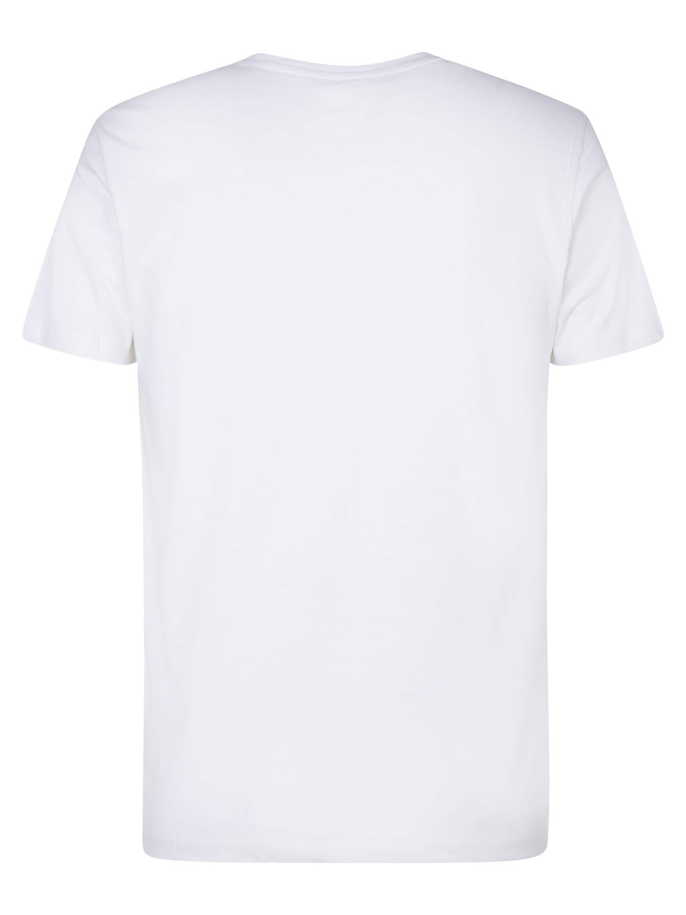 Petrol Industries Tričko 'Sidney' - Sivá