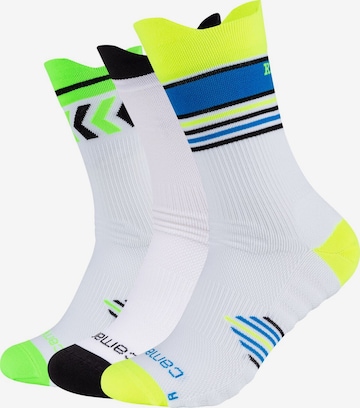 camano Sportsokken in Groen: voorkant