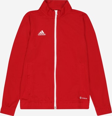 Veste de sport 'Entrada 22' ADIDAS PERFORMANCE en rouge : devant