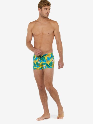 HOM Zwemshorts ' Tropicana ' in Gemengde kleuren