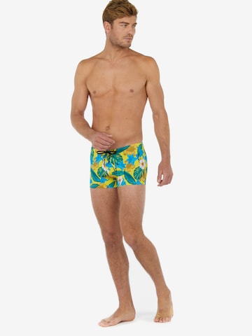 Shorts de bain ' Tropicana ' HOM en mélange de couleurs