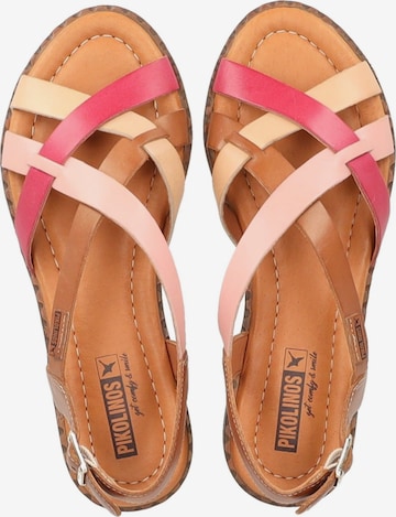 PIKOLINOS Strap Sandals in Mixed colors
