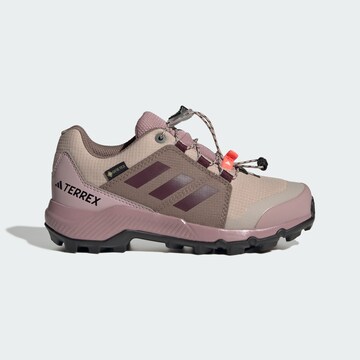 Chaussures basses ADIDAS TERREX en marron