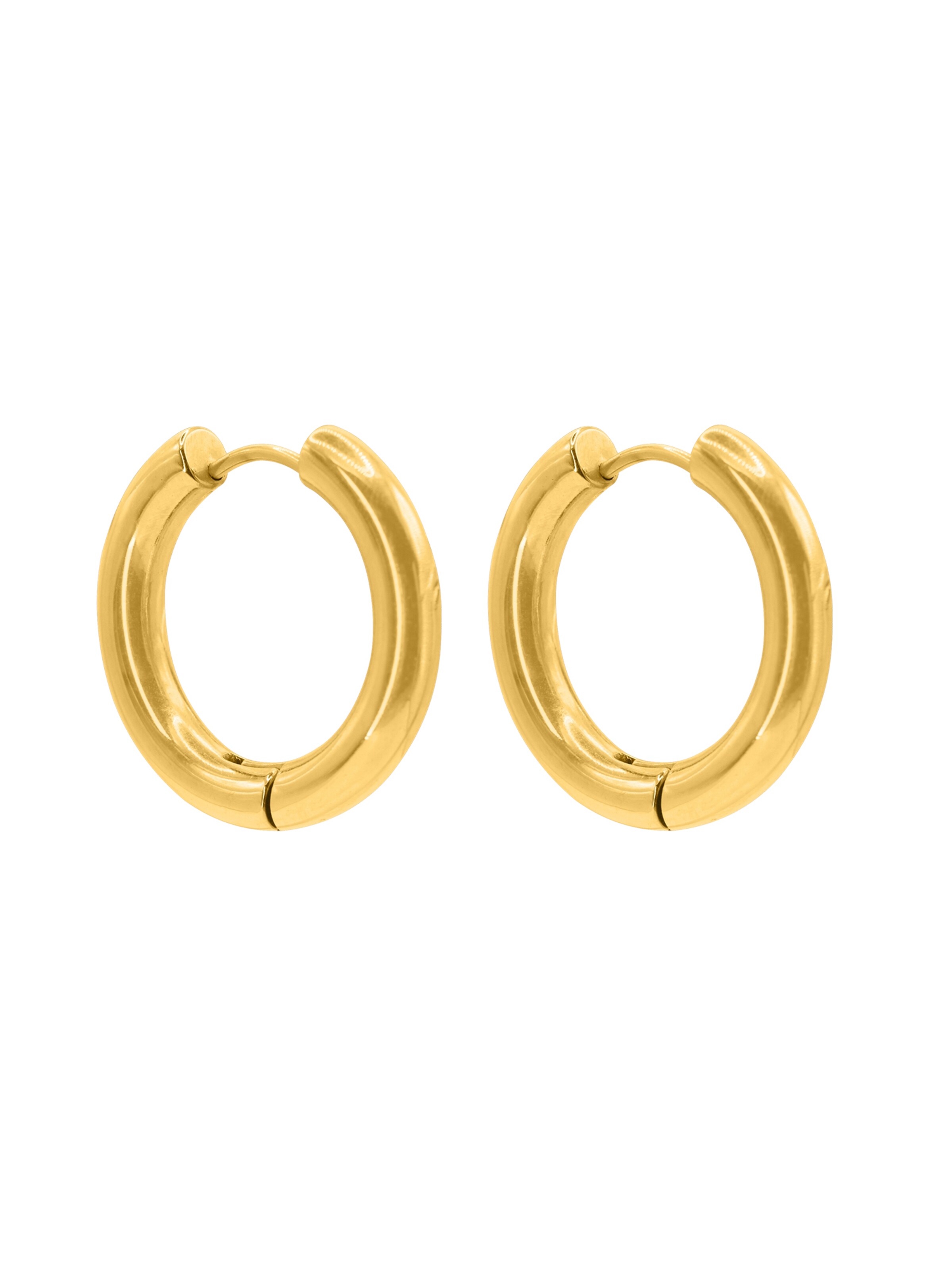 Heideman Oorbel 'Silio' in Goud