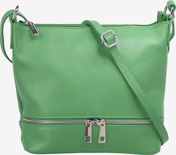 Cluty Crossbody Bag in Green: front