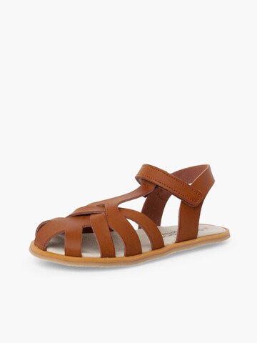 Pisamonas Sandal in Brown: front