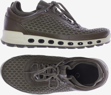 ECCO Sneakers & Trainers in 41 in Green: front