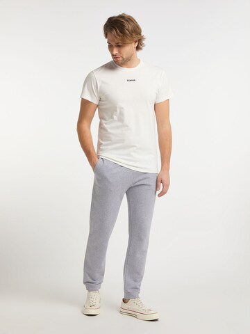 SOMWR Regular Pants 'Sapwood' in Grey