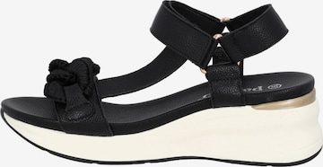 Palado - Sandalias 'Palado Gyapon' en negro