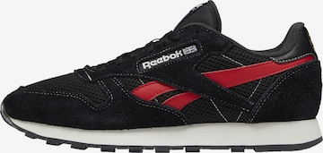 Reebok Låg sneaker i svart: framsida