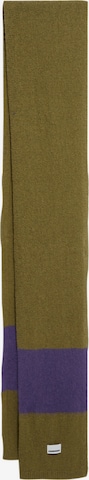 ARMEDANGELS Scarf in Mixed colours: front