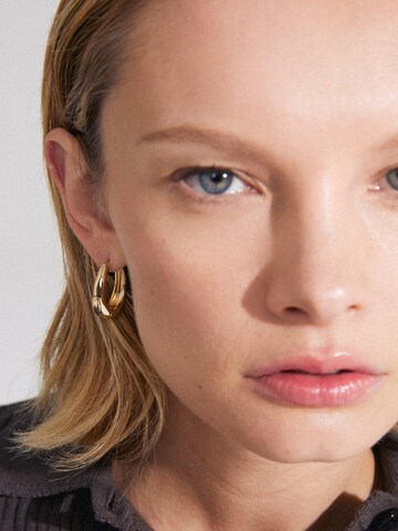 Pilgrim Earrings 'Asher' in Gold