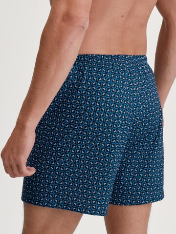 CALIDA Boxer shorts 'Prints' in Blue
