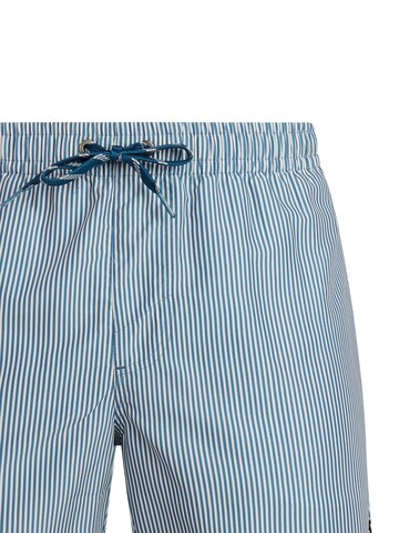 PROTEST Badeshorts 'PRTMarama' in Blau