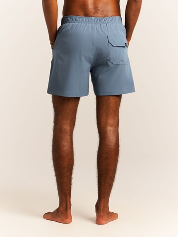 PROTEST Board Shorts 'PRTIgapo' in Blue