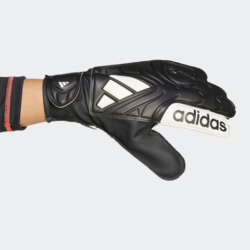 ADIDAS PERFORMANCE Sporthandschuhe in Schwarz