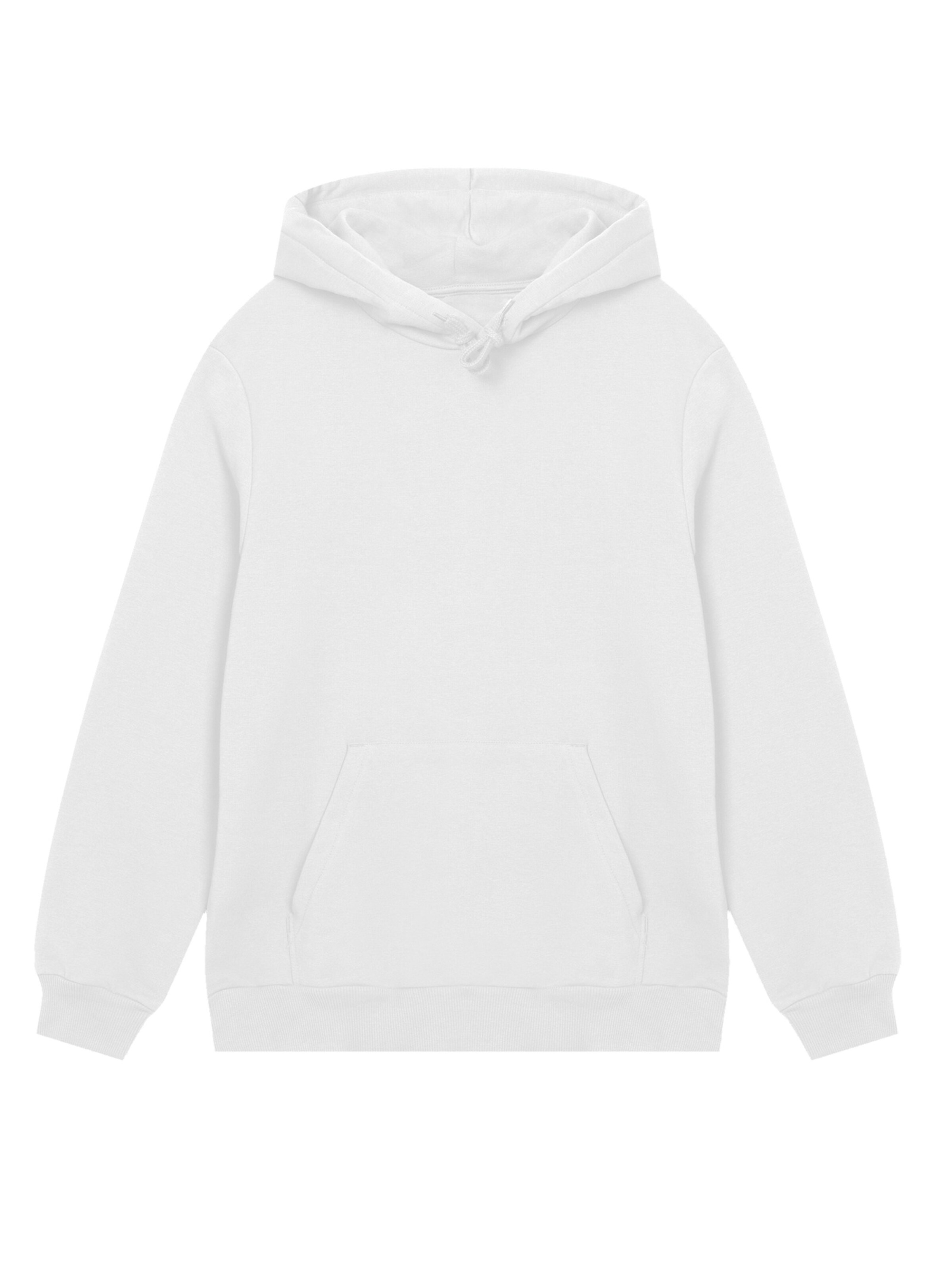 F4NT4STIC Sweatshirt in White: front