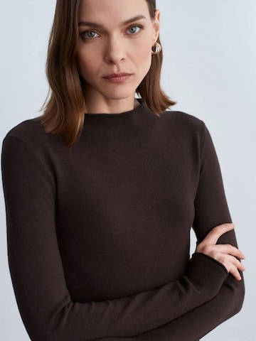 Dilvin Sweater 'Pullover' in Brown: front