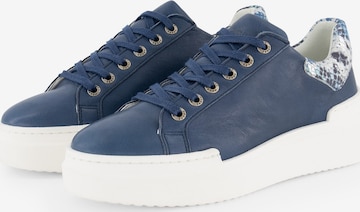 NoGRZ Sneakers 'J.Javarra' in Blue