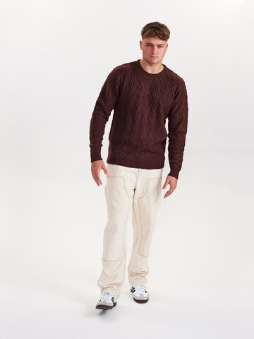 Dxnmxrk Pullover 'DXDiego' in Braun