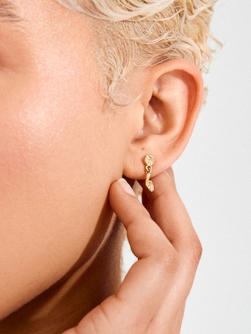 Pilgrim Earrings 'Eliyah' in Gold