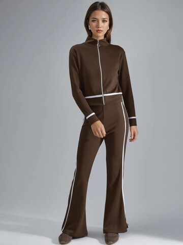 Hiccup - Calças de fato em castanho: frente