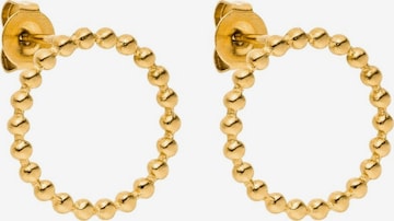 PURELEI Earrings in Gold: front