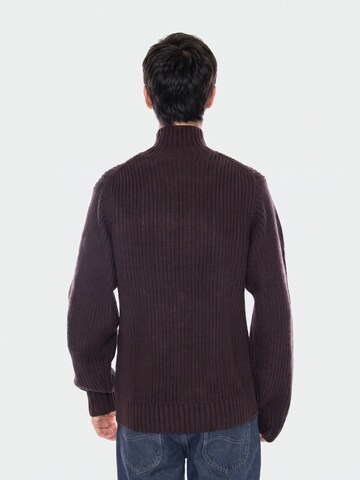 Pullover 'Detroit Half Zip Sweater Palisander' di Carhartt WIP in marrone