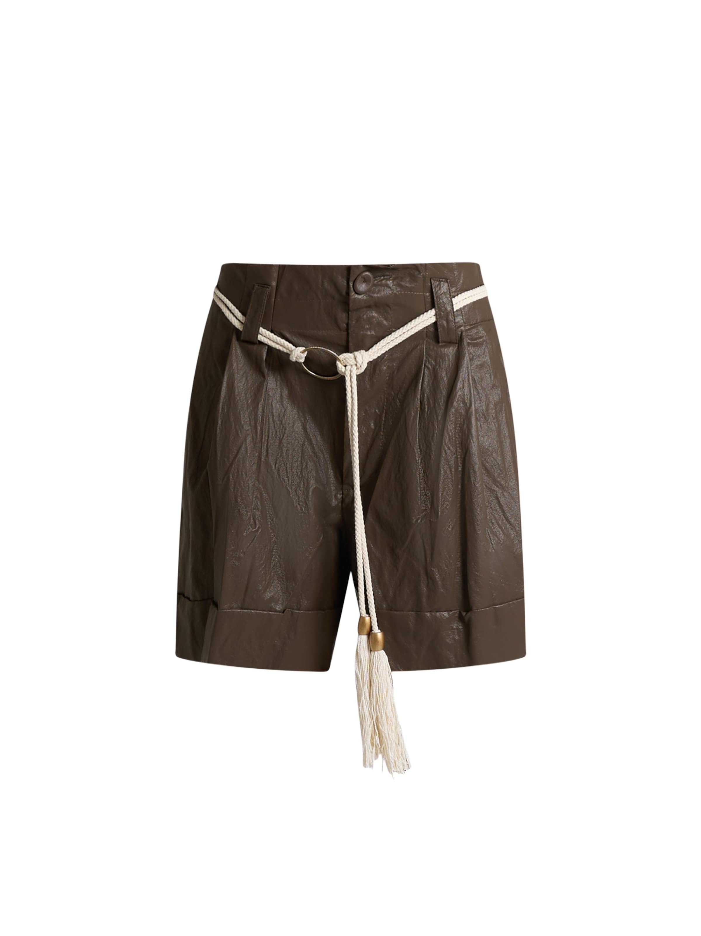 HAVE ONE Regular Pants in Brown: front